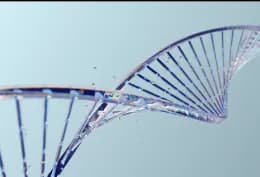 Genetic factors