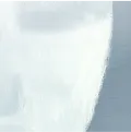 cover of Cheeks