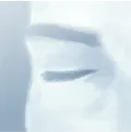 cover of Eyebrows