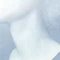 cover of Neck