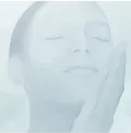 cover of Skin