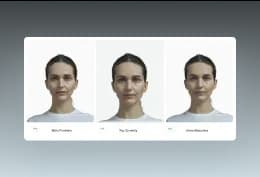 Multiple face visualization options